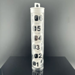 6d6 Braille Dice